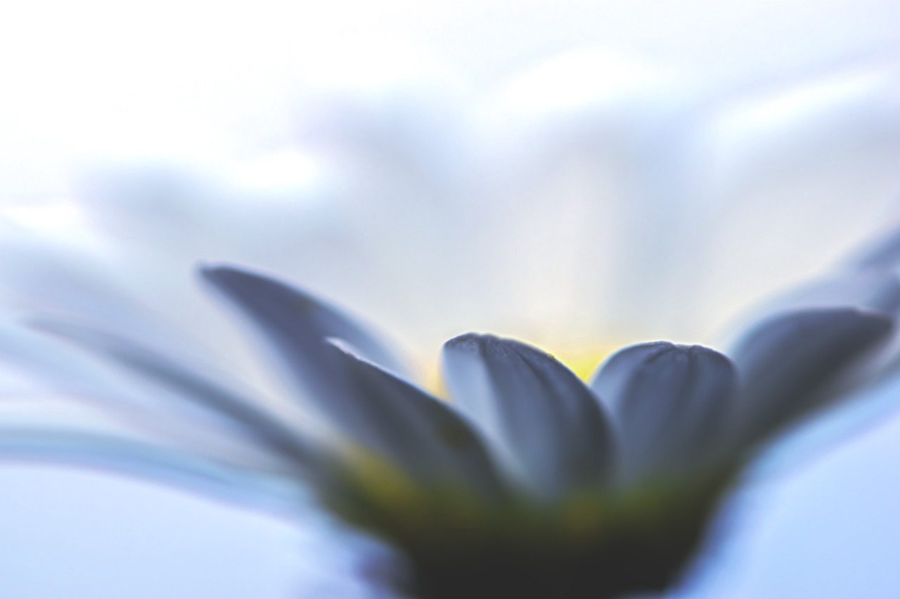 Conjunto Beatriz Plus Preto